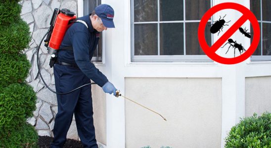 Uludere Hamam Böceği İlaçlama böcek ilaçlama ve haşere kontrolü — ilaclama-tr.com